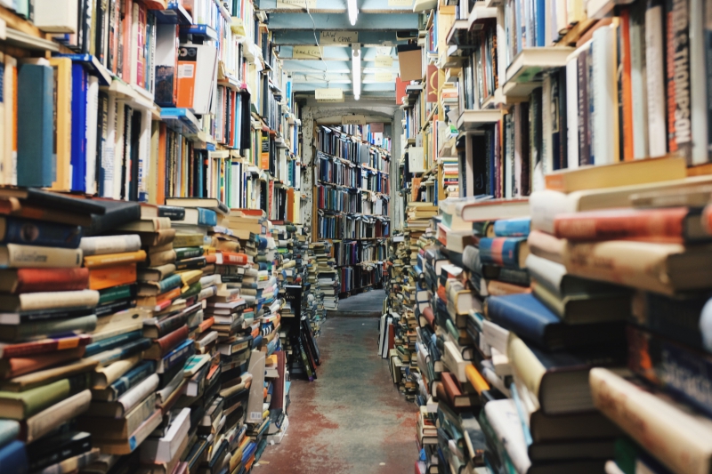 librairie-ST LAURENT DU VAR-min_books-768426